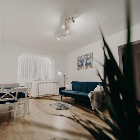 Apartamentul Albastru Vatra Dornei Exterior photo
